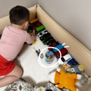 지워지는 아기 사인펜, 쓱~지오지네 펜 한 달 사용 후기