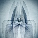 이숙경헤어라인 Wkorea