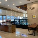 더블코리아 | 마포 가성비 호캉스! 스탠포드호텔코리아 스탠다드 더블룸 후기