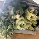 양정시장 | 양정 꽃시장 꽃구매후기 백합가격 시세 주차 부산꽃도매