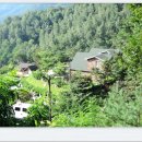 달빛아래Ⅱ 이미지