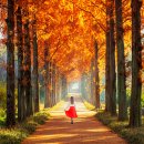 나주자원 이미지