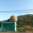 개랭이고들빼기마을 이미지