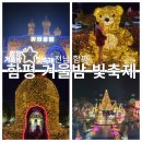 함평초등학교 | 전남 함평 겨울빛 축제 데이트 코스 겨울 여행지