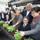 스마트팜