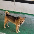 똘이PC방 이미지