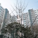 공항동 이미지
