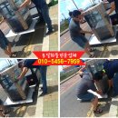 개인(용달)화물 이미지