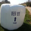 홍원농장 이미지