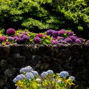 안덕면사무소 이미지