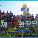 제22회 파주장단콩축제 (The 22nd PAJU Jamgdan Soybean Festival) 이미지