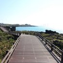 한림읍 월령리마을 이미지