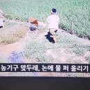 해방후 간난했던 농촌의 삶-유랜드스토리제공 이미지