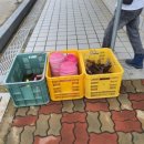 종현농어촌체험휴양마을 이미지