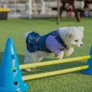 모나코펜션 이미지