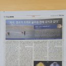 내고향푸줏간 이미지