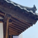 초당요기숙 | [초당요기숙] 강릉 독채 펜션. 내돈내산 솔직 후기