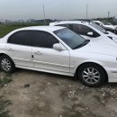 시흥매화초등학교 이미지