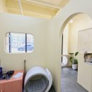 제이그루밍 이미지