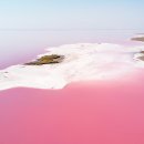 세계의 각지에 아름다운 핑크호수 이미지