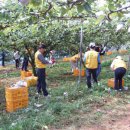 배바우농장 이미지