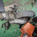 프리마 베라 이미지