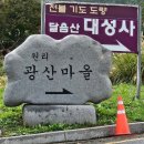 기장군농업기술센타 | 부산가볼만한 곳 기장 좌천역 광산마을 핑크뮬리 팜파스