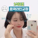 티오피솔루션