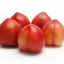 센텀동물병원 이미지