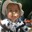 와와멍# 이미지