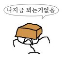 비스트로 딤섬 이미지