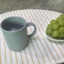 슬로우핸즈