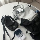 댕댕이모 이미지