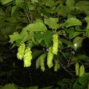 치래마을 이미지