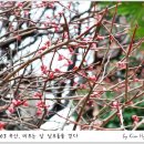 사해방 이미지