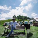 인생사진 남길 수 있는 넓은 동물농장 후기(feat. 태백 몽토랑 산양농장, 꿈과 희망의 나라 강원랜드)