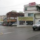 금성사슴농장 이미지