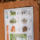 온동농장 | [온동물농장]시흥 아이와 가볼만한 곳 온동물농장