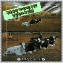 황준목장 이미지