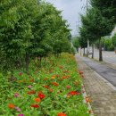 진광중학교 이미지