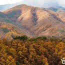 동화카서비스 이미지