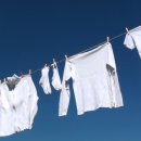 새하얀세탁 이미지