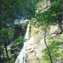 미인열차 이미지