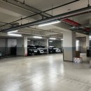 파인트리피부과의원 이미지