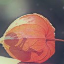 모가우체국 이미지