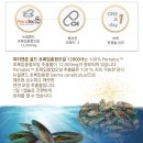 기프트존
