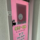 대전펫츠 이미지