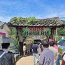 황강내 | 합천 황화코스모스 축제 다녀온 후기 🌼 주차 꿀팁 + 정확한 위치 정리