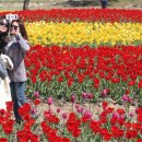 낙동강관리본부 화명생태공원 1 이미지