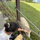 아리산스테이지 | [대만] 🇹🇼 타이중 일월담 &amp; 칭징농장 종일 투어 일정 클룩 (klook) 영어 가이드 | 사실상 중국어 투어...